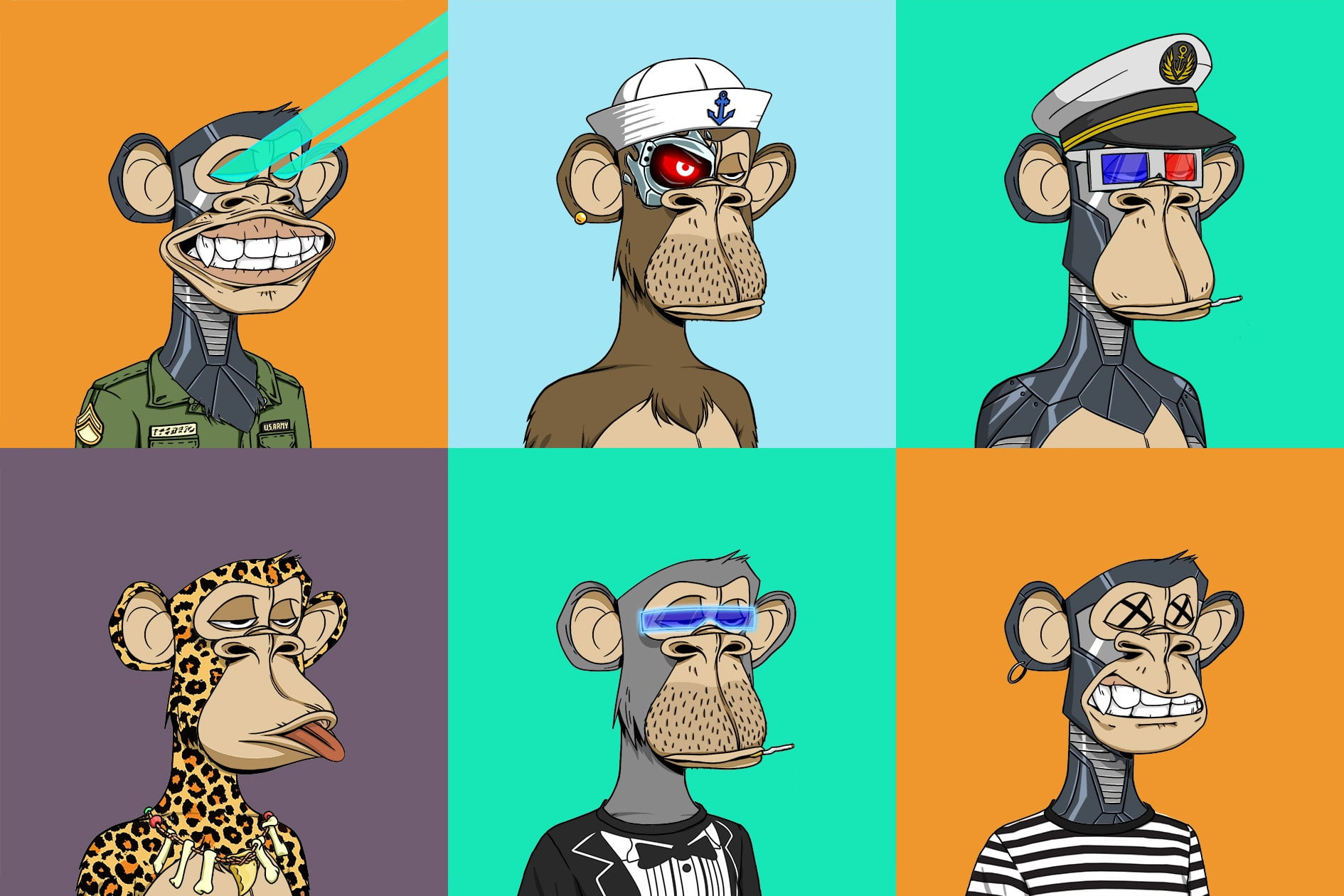 Bored Ape Club NFT